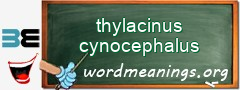 WordMeaning blackboard for thylacinus cynocephalus